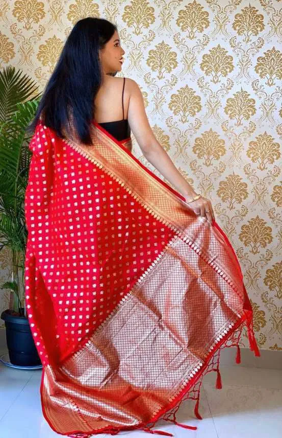 Confounding Red Soft Banarasi Silk Saree With Glowing Blouse Piece